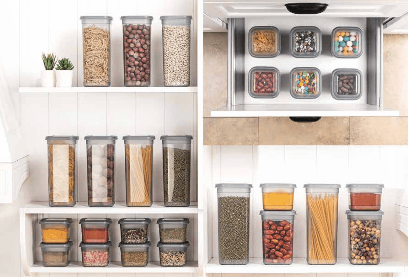 Freshlife — producto 1