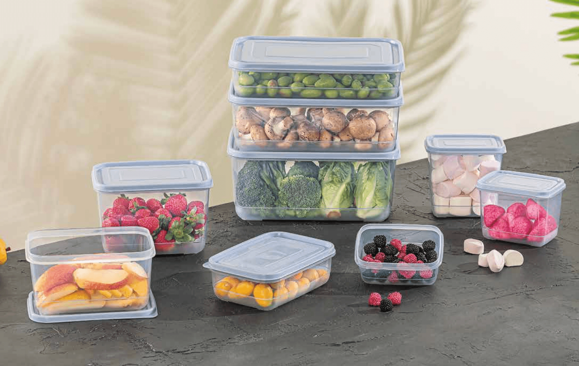 Freshlife — producto 4