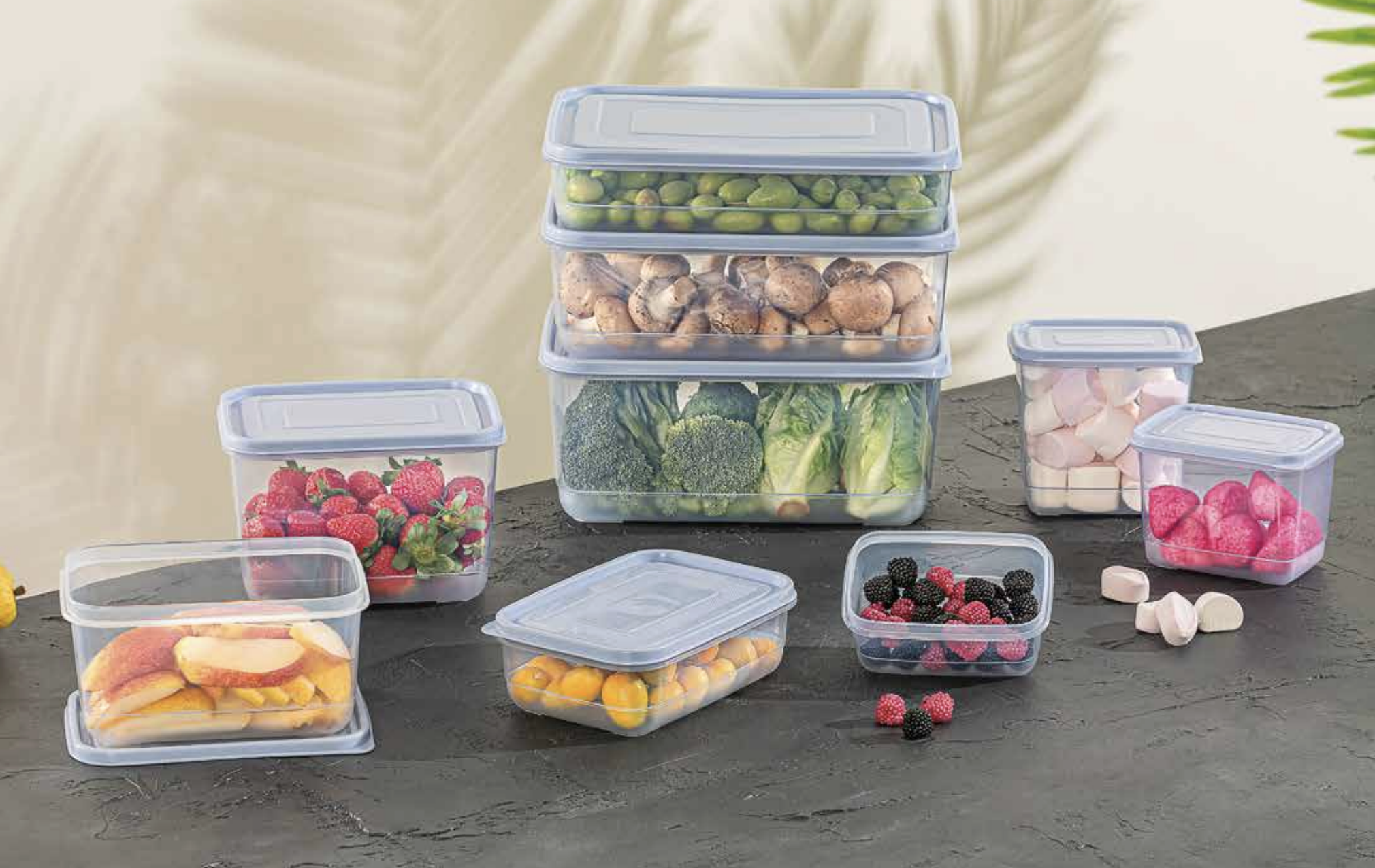 Freshlife Producto 4