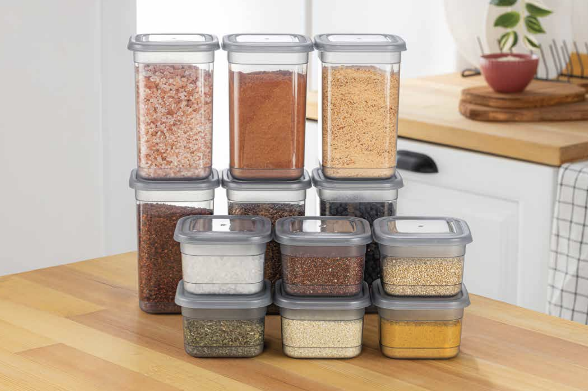 Freshlife Producto 5